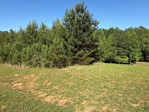Lot 228 The Cove @ 1300 Blairsville GA 30512