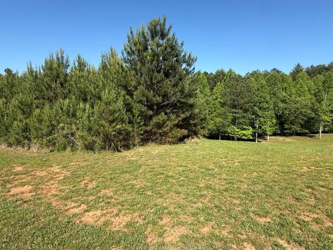 Lot 228 The Cove @ 1300 Blairsville GA 30512