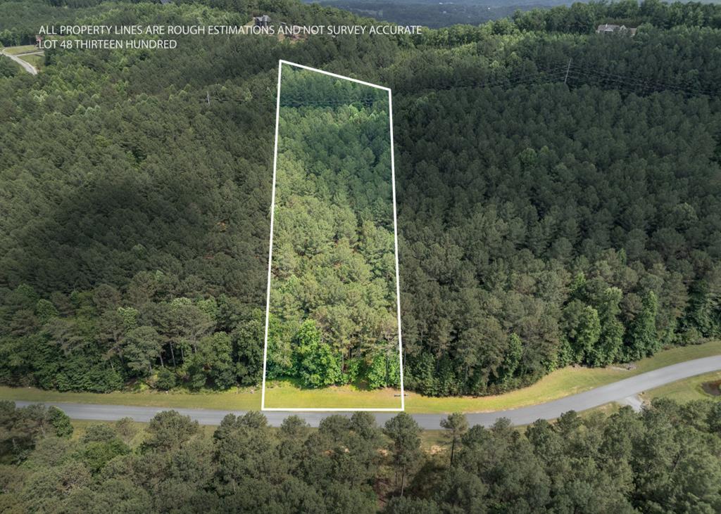 Lot 48 Thirteen Hundred Blairsville GA 30512