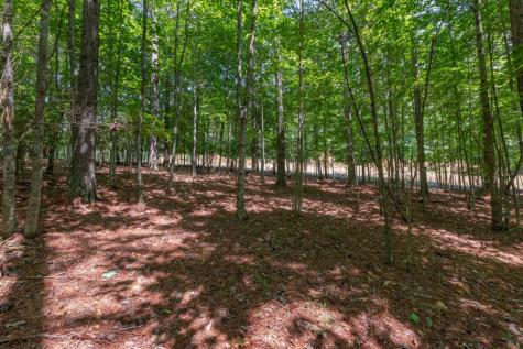 Lot 48 Thirteen Hundred Blairsville GA 30512