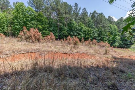 Lot 48 Thirteen Hundred Blairsville GA 30512