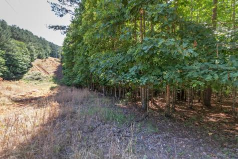 Lot 48 Thirteen Hundred Blairsville GA 30512
