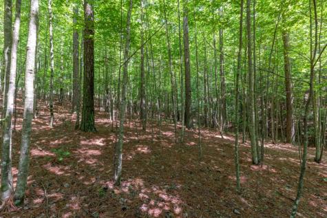 Lot 48 Thirteen Hundred Blairsville GA 30512