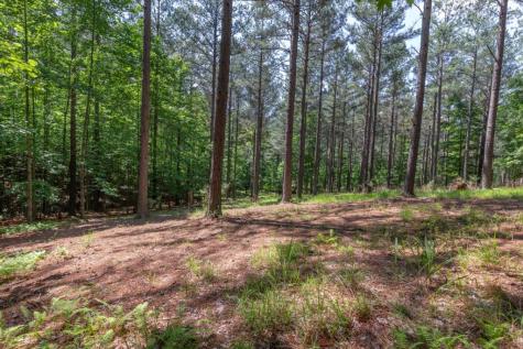 Lot 48 Thirteen Hundred Blairsville GA 30512