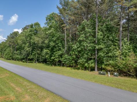 Lot 48 Thirteen Hundred Blairsville GA 30512