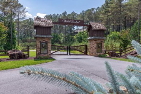 Lot 48 Thirteen Hundred Blairsville GA 30512