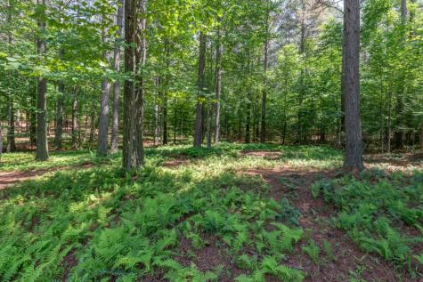 Lot 48 Thirteen Hundred Blairsville GA 30512