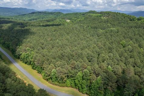 Lot 48 Thirteen Hundred Blairsville GA 30512