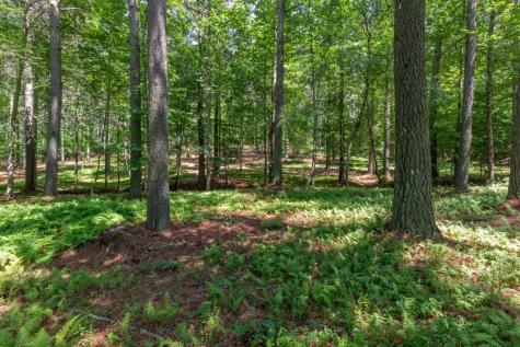 Lot 48 Thirteen Hundred Blairsville GA 30512