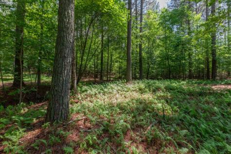 Lot 48 Thirteen Hundred Blairsville GA 30512