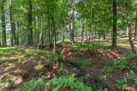 Lot 48 Thirteen Hundred Blairsville GA 30512