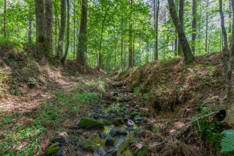 Lot 48 Thirteen Hundred Blairsville GA 30512