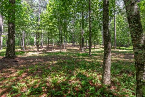 Lot 48 Thirteen Hundred Blairsville GA 30512