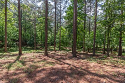 Lot 48 Thirteen Hundred Blairsville GA 30512