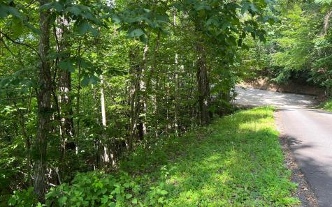 Lot 73 Eagles View Hayesville NC 28904