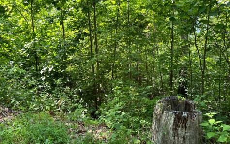 Lot 73 Eagles View Hayesville NC 28904