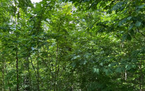 Lot 73 Eagles View Hayesville NC 28904