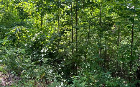 Lot 73 Eagles View Hayesville NC 28904
