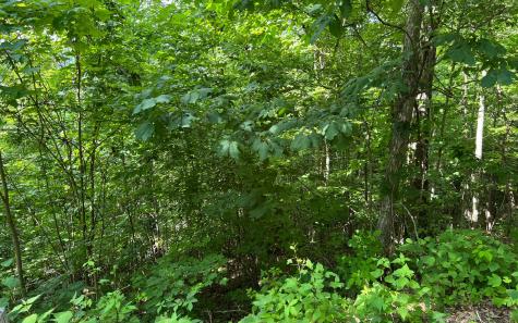 Lot 73 Eagles View Hayesville NC 28904