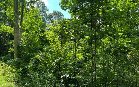 Lot 73 Eagles View Hayesville NC 28904