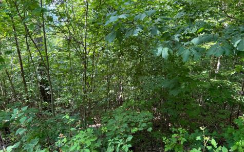 Lot 73 Eagles View Hayesville NC 28904