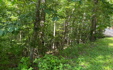 Lot 73 Eagles View Hayesville NC 28904