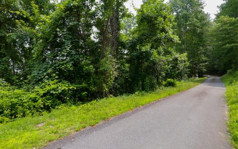 Lot 73 Eagles View Hayesville NC 28904