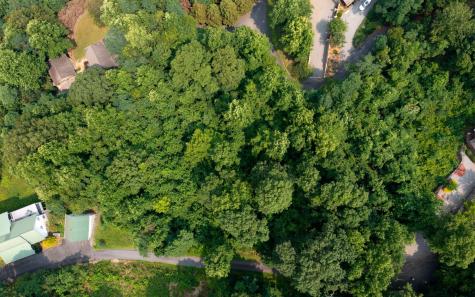 Lot 73 Eagles View Hayesville NC 28904