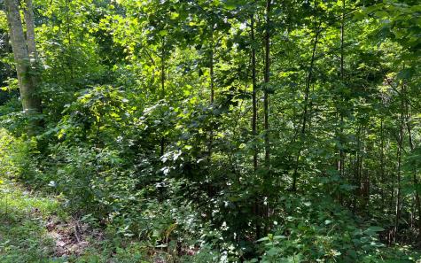 Lot 73 Eagles View Hayesville NC 28904