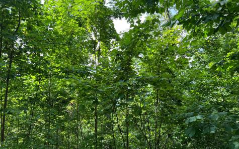 Lot 73 Eagles View Hayesville NC 28904