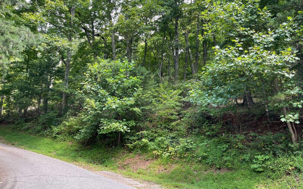 #10 Mountain Drive N Hiawassee GA 30546