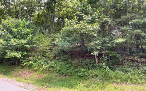 #10 Mountain Drive N Hiawassee GA 30546
