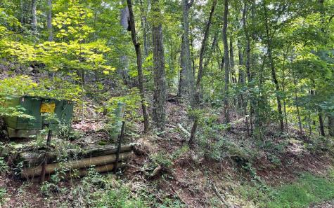 #10 Mountain Drive N Hiawassee GA 30546