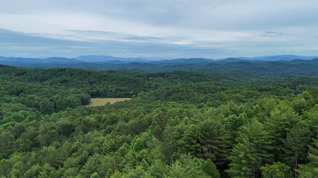 00 Choctaw Ridge Trail Murphy NC 28906