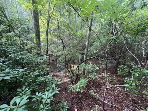 Lt 666 NW Nugget Court Ellijay GA 30540