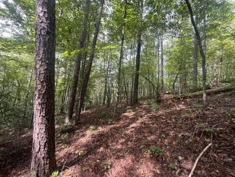 Lt 666 NW Nugget Court Ellijay GA 30540