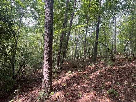 Lt 666 NW Nugget Court Ellijay GA 30540