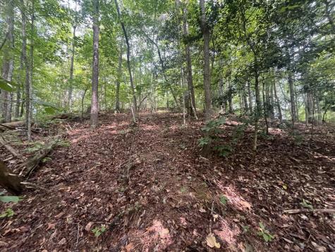 Lt 666 NW Nugget Court Ellijay GA 30540