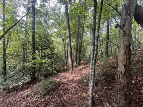 Lt 666 NW Nugget Court Ellijay GA 30540