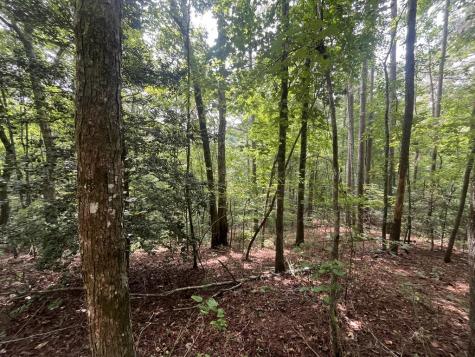 Lt 666 NW Nugget Court Ellijay GA 30540