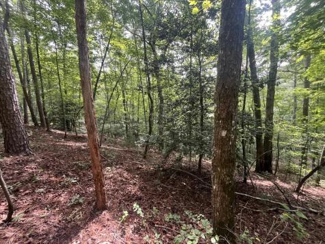Lt 666 NW Nugget Court Ellijay GA 30540