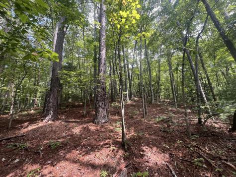 Lt 666 NW Nugget Court Ellijay GA 30540