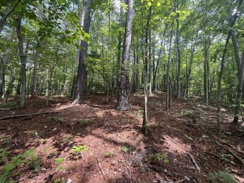 Lt 666 NW Nugget Court Ellijay GA 30540