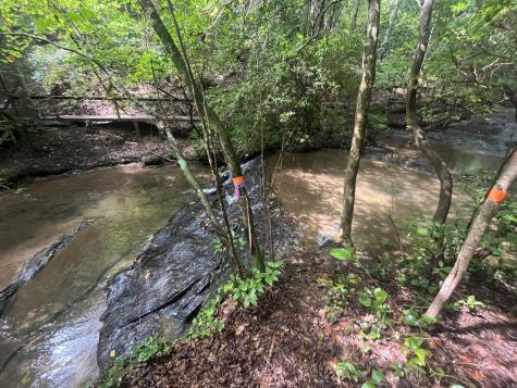 Lt 666 NW Nugget Court Ellijay GA 30540