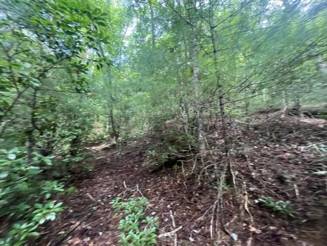 Lt 666 NW Nugget Court Ellijay GA 30540
