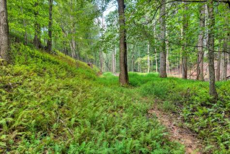 00 River Way Blue Ridge GA 30513