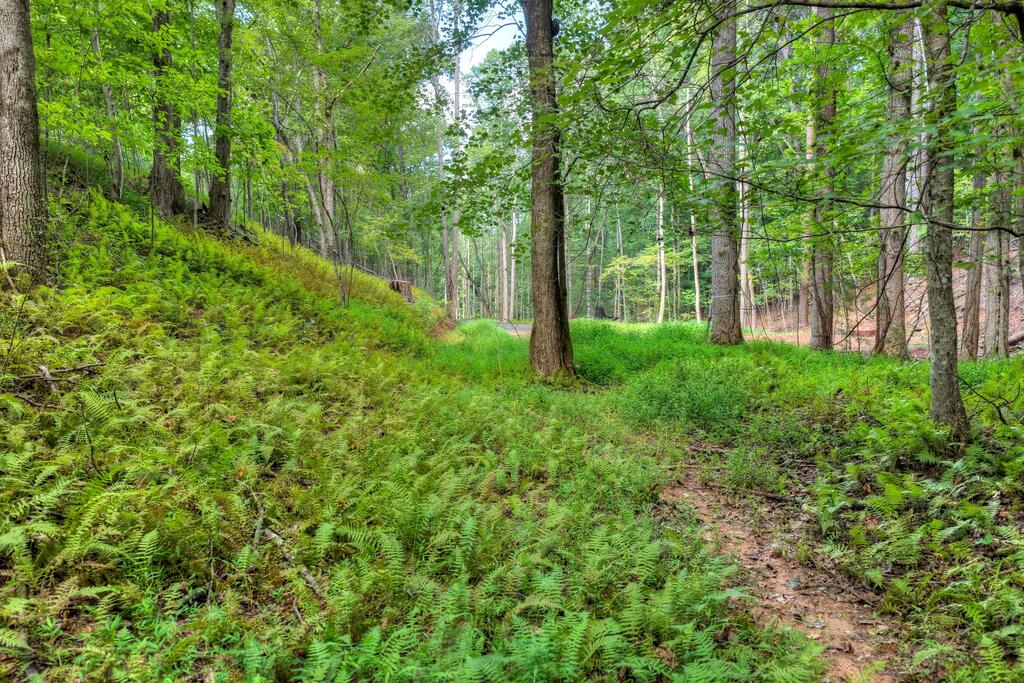 00 River Way Blue Ridge GA 30513