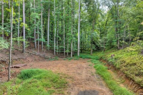 00 River Way Blue Ridge GA 30513