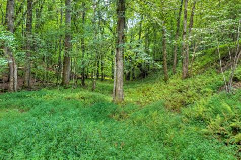 00 River Way Blue Ridge GA 30513