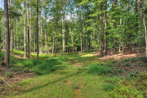 00 River Way Blue Ridge GA 30513